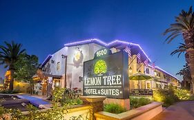 Lemon Tree Hotel And Suites Anaheim California